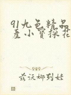 91九色精品国产小宝探花