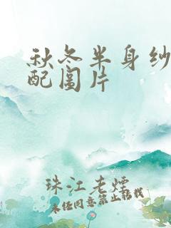 秋冬半身纱裙搭配图片