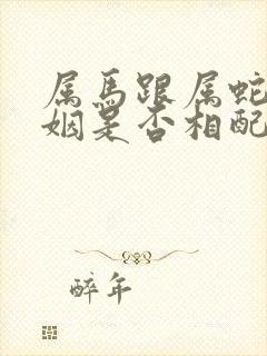 属马跟属蛇的婚姻是否相配