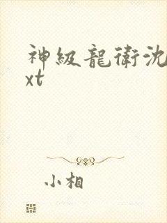 神级龙卫沈浪txt