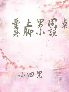 爱上男同桌的的臭脚小说