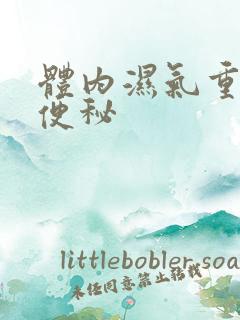 体内湿气重肥胖便秘