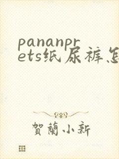 pananprets纸尿裤怎么样