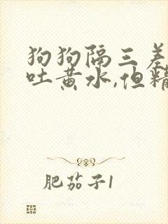 狗狗隔三差五的吐黄水,但精神很好