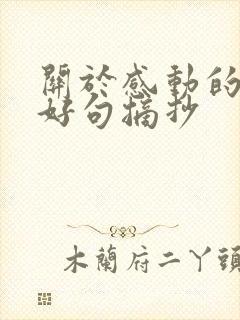 关于感动的好词好句摘抄