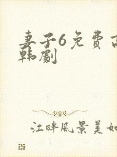 妻子6免费高清韩剧