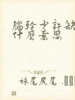 脑干少许缺血灶什么意思