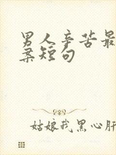 男人辛苦最火文案短句