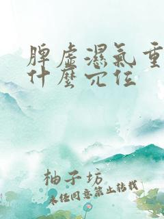 脾虚湿气重艾灸什么穴位