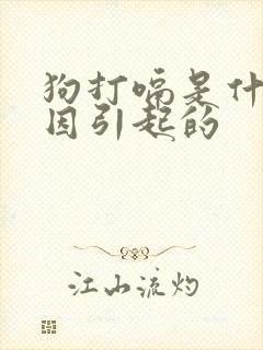 狗打嗝是什么原因引起的