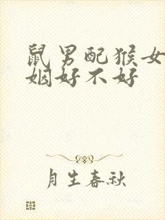 鼠男配猴女的婚姻好不好