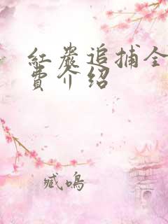 红岩追捕全集免费介绍