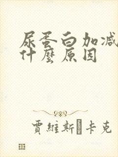 尿蛋白加减号是什么原因