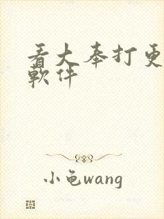 看大奉打更人的软件