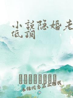 小说隐婚老公请低调