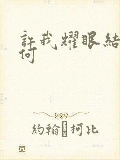 许我耀眼结局如何