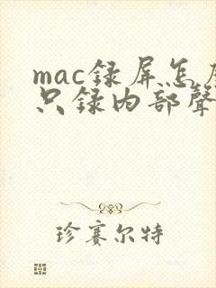 mac录屏怎么只录内部声音