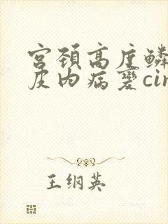 宫颈高度鳞状上皮内病变cin2