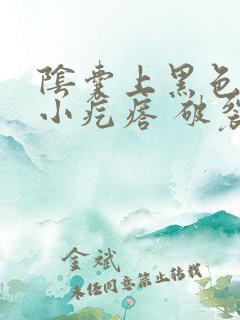 阴囊上黑色凸起小疙瘩 破裂出血