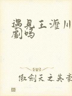 遇见王沥川是悲剧吗