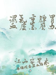 湿气重脾胃弱气血虚怎么办