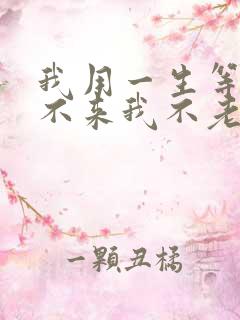 我用一生等你你不来我不老是什么歌