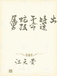 属蛇午时出生的男孩命运