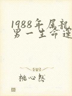 1988年属龙男一生命运
