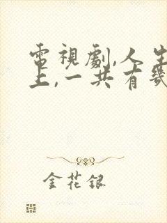 电视剧,人生路上,一共有几集