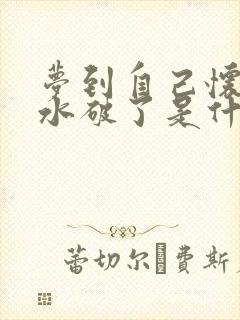 梦到自己怀孕羊水破了是什么预兆