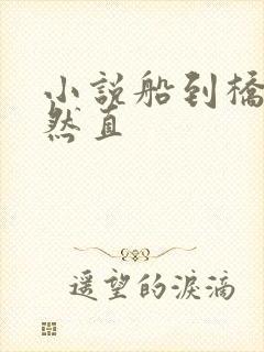 小说船到桥头自然直