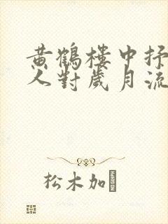 黄鹤楼中抒发诗人对岁月流逝世事沧桑的句子