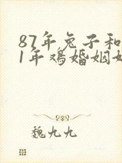 87年兔子和81年鸡婚姻好不好