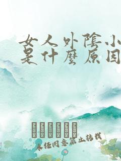 女人外阴小颗粒是什么原因