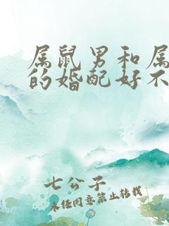 属鼠男和属龙女的婚配好不好