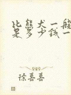 比熊犬一般价格是多少钱一只