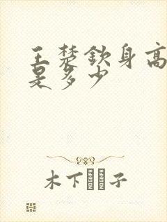 王楚钦身高体重是多少