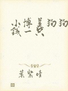 小博美狗狗多少钱一只