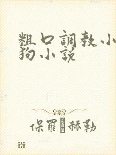 粗口调教小骚母狗小说