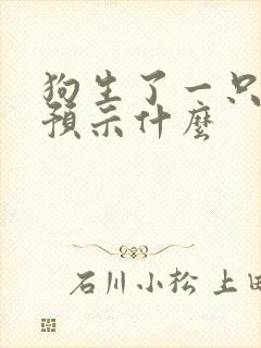 狗生了一只小狗预示什么