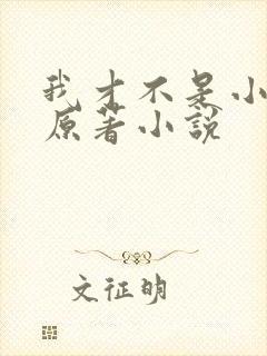 我才不是小可怜原著小说