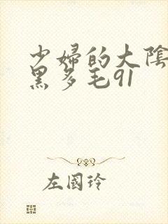 少妇的大阴户浓黑多毛91