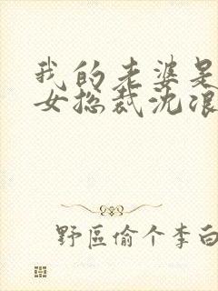 我的老婆是冰山女总裁沈浪最新