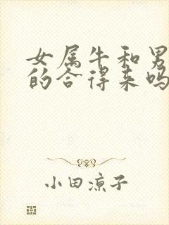 女属牛和男属狗的合得来吗