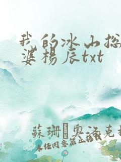 我的冰山总裁老婆杨辰txt