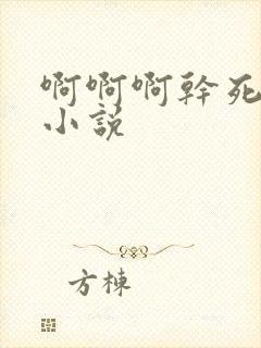 啊啊啊干死我了小说