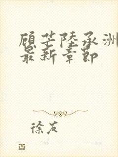 顾芒陆承洲小说最新章节