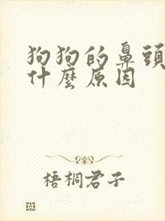 狗狗的鼻头干是什么原因