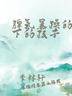 脾气暴躁的家庭下的孩子