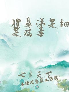 脓鼻涕是细菌还是病毒